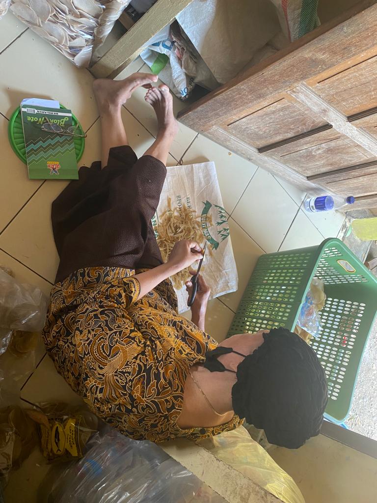 PROGRAM SOSIALISASI MENGENAI PENGGUNAAN SOSIAL MEDIA DAN PEMBUKUAN  SEBAGAI MEDIA PENJUALAN UMKM
